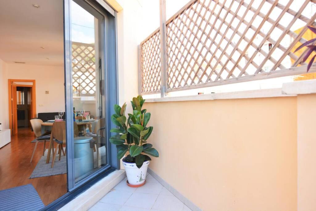 Penthouse In Old City Center By Nras Apartment Alicante Luaran gambar