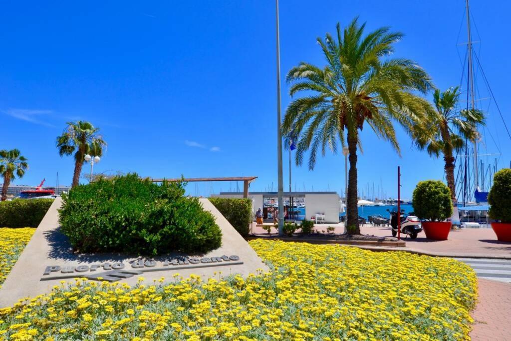 Penthouse In Old City Center By Nras Apartment Alicante Luaran gambar